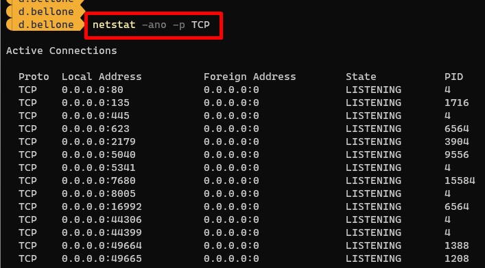 Netstat command to show all active TCP connections