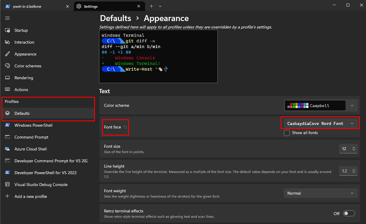 PowerShell profile settings - Font Face should be CaskaydiaCove Nerd Font