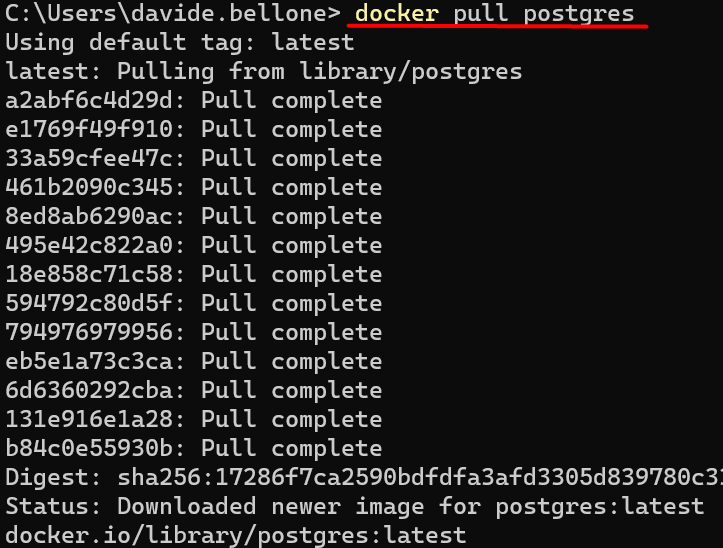 Docker pull result