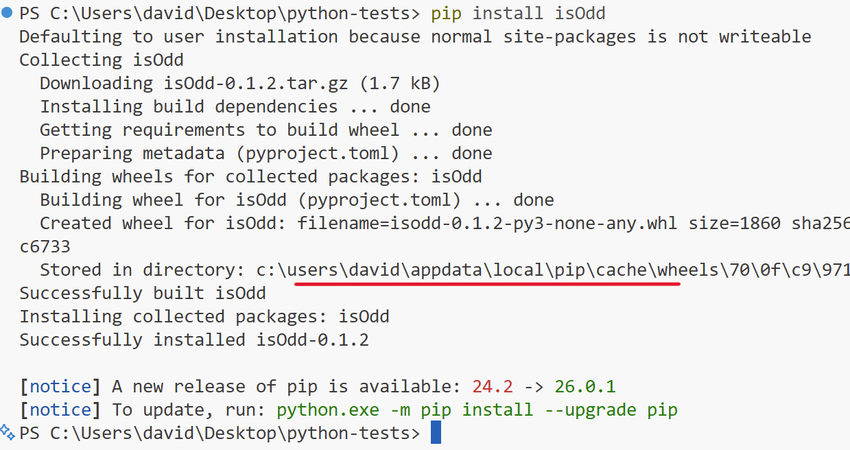 What happens when you install a pip package globally
