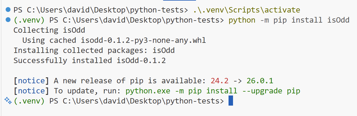 pip install command in venv