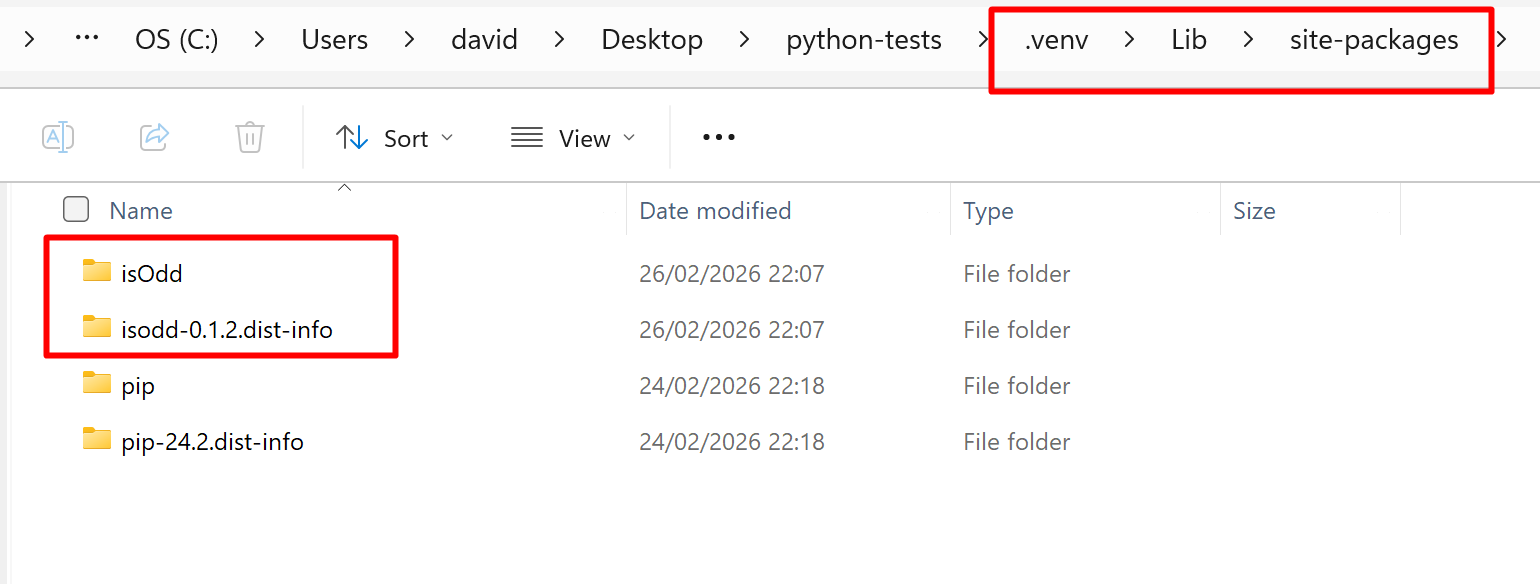 pip package in file system